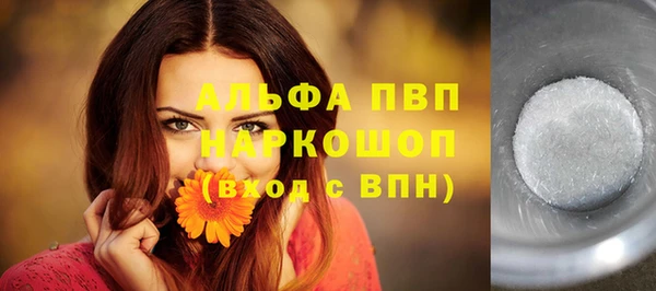 индика Балахна