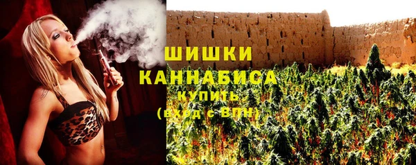 индика Балахна