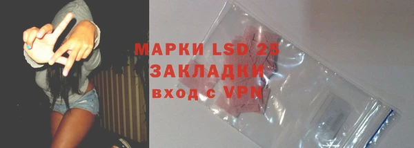 индика Балахна