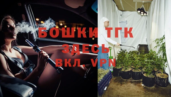 индика Балахна