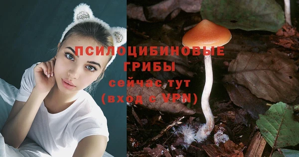 индика Балахна