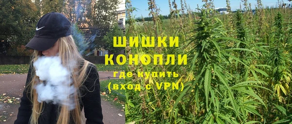 индика Балахна