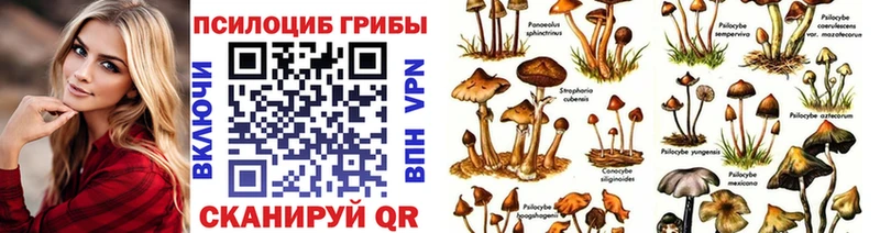Псилоцибиновые грибы прущие грибы  Новосиль 